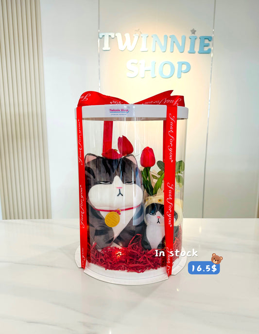 SRBM | Moody cat mix gift set