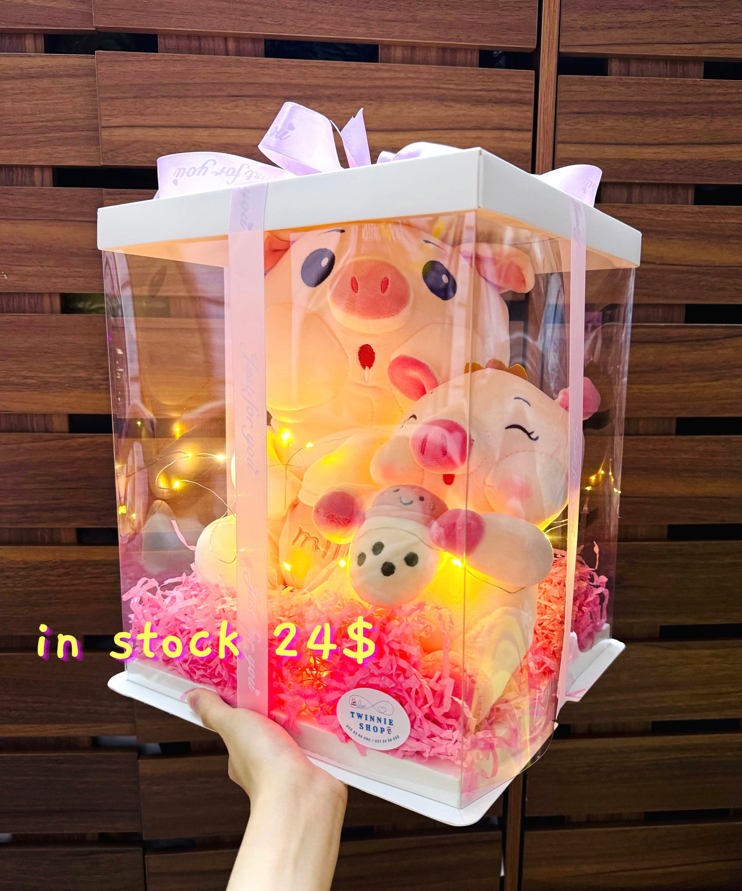 BB | Piggy mix teddy set