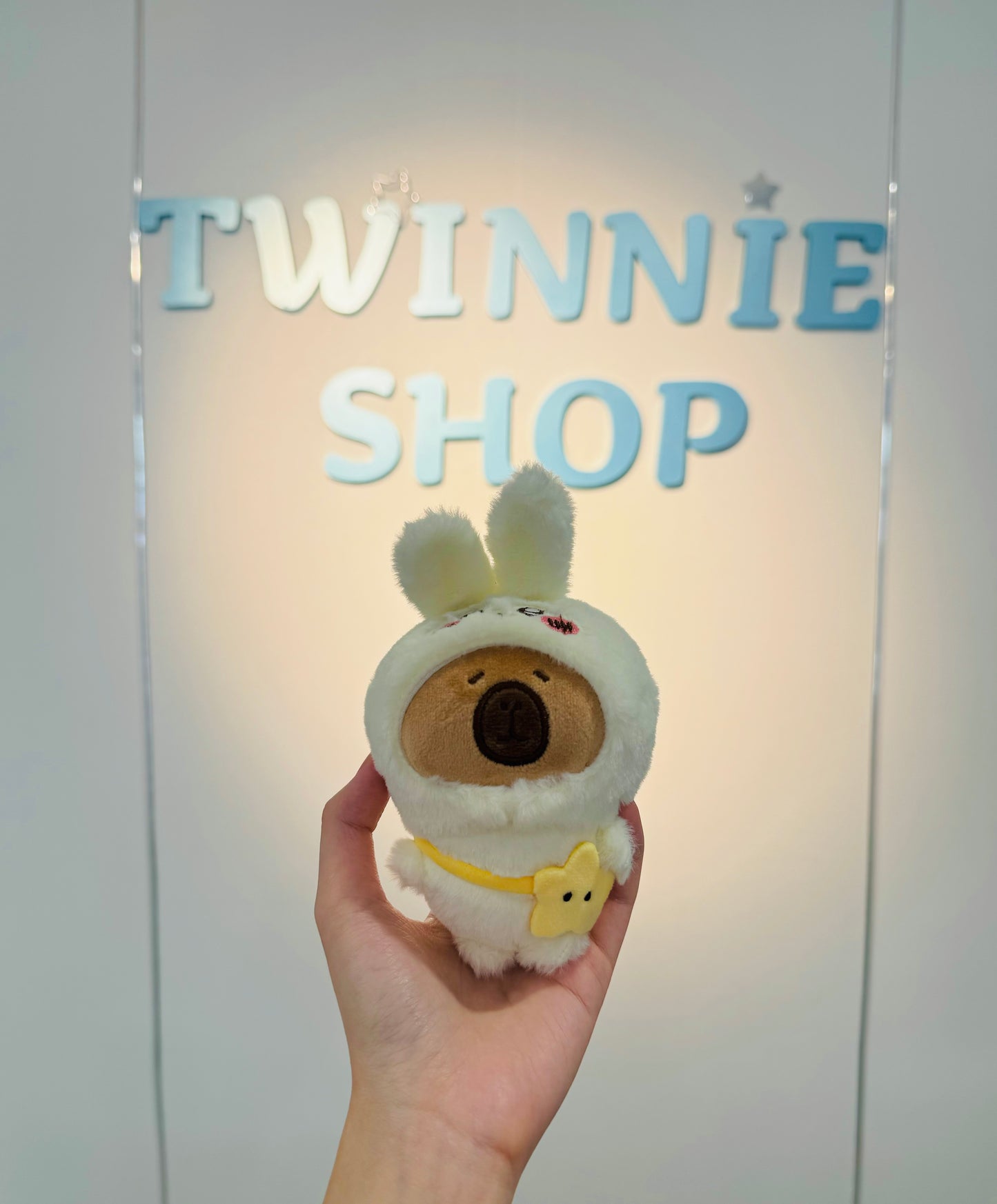 KEY | Capybara keychain