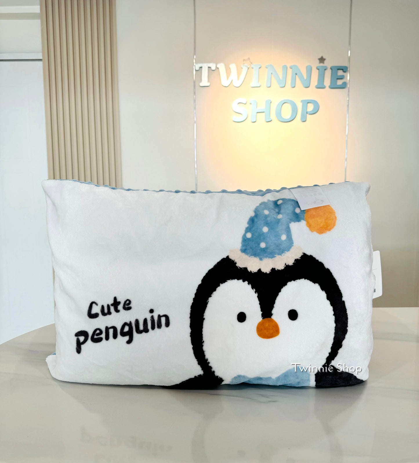 PL | Teddy pillow