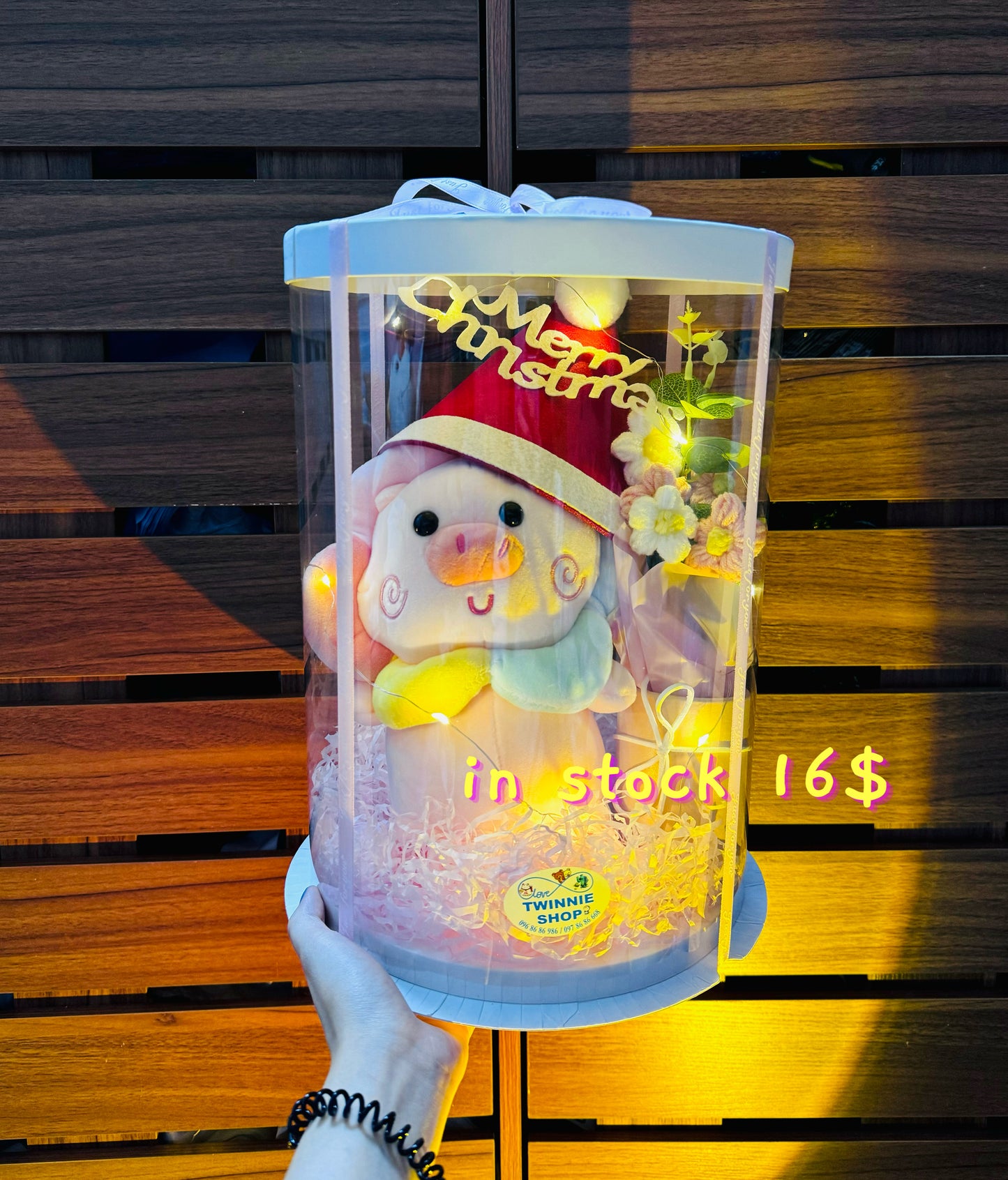 Xmas | Rainbow pig gift set