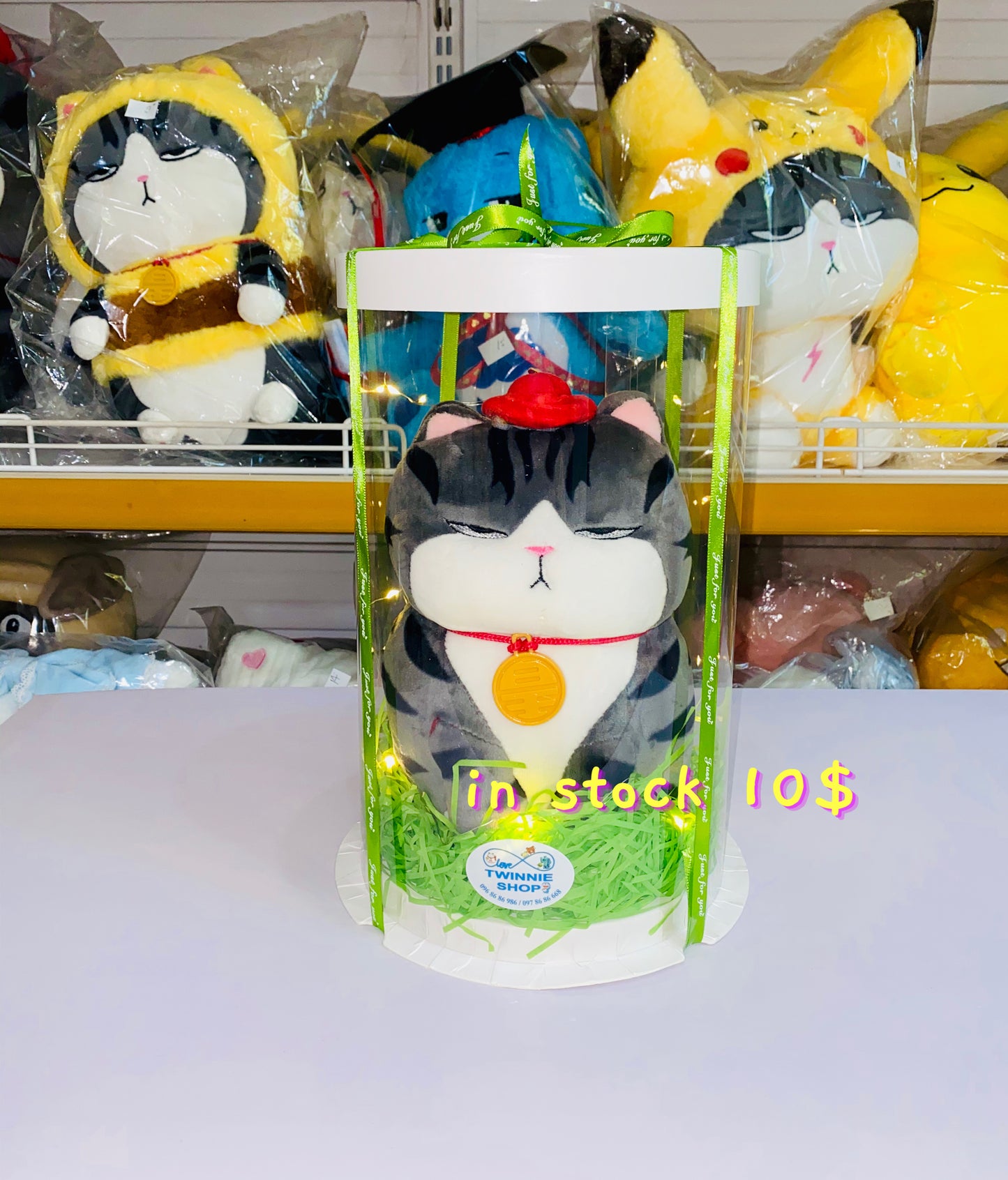 SRB10 | moody cat gift box