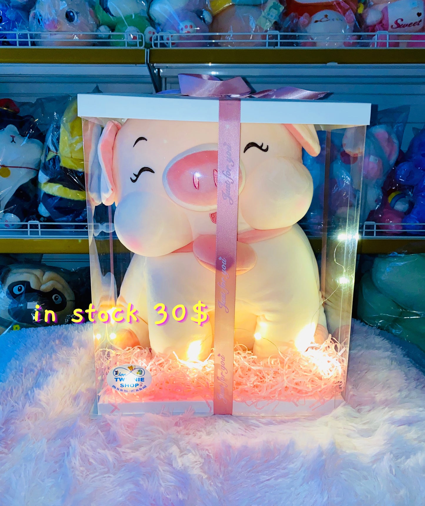 BB | Piggy big set