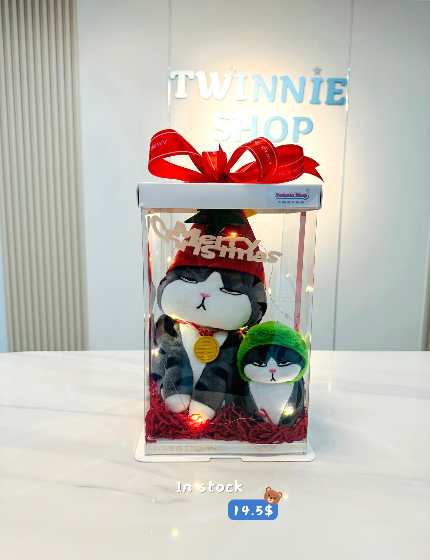 Xmas | Moody cat mix keychain set