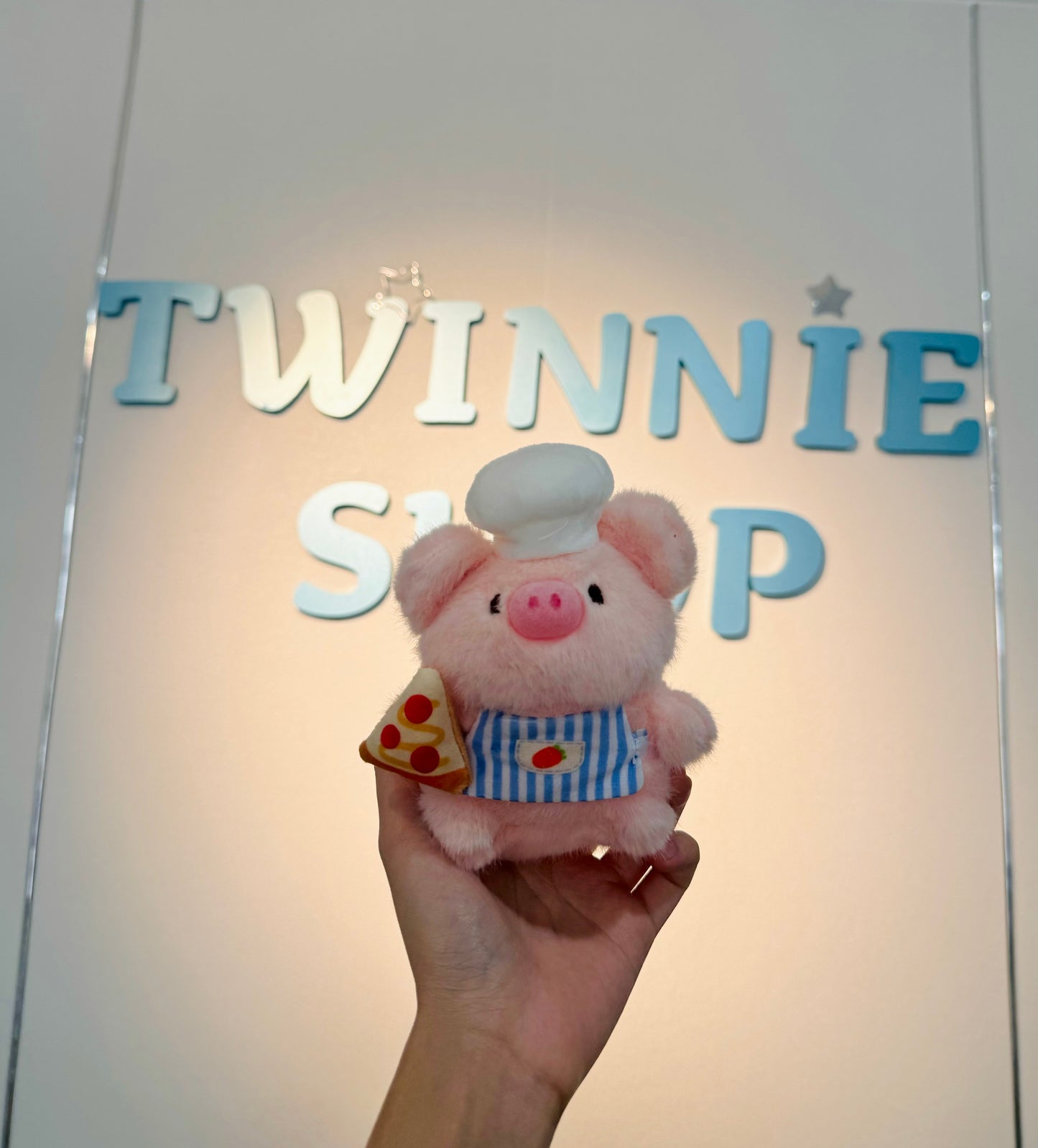 KEY | Piggy keychain