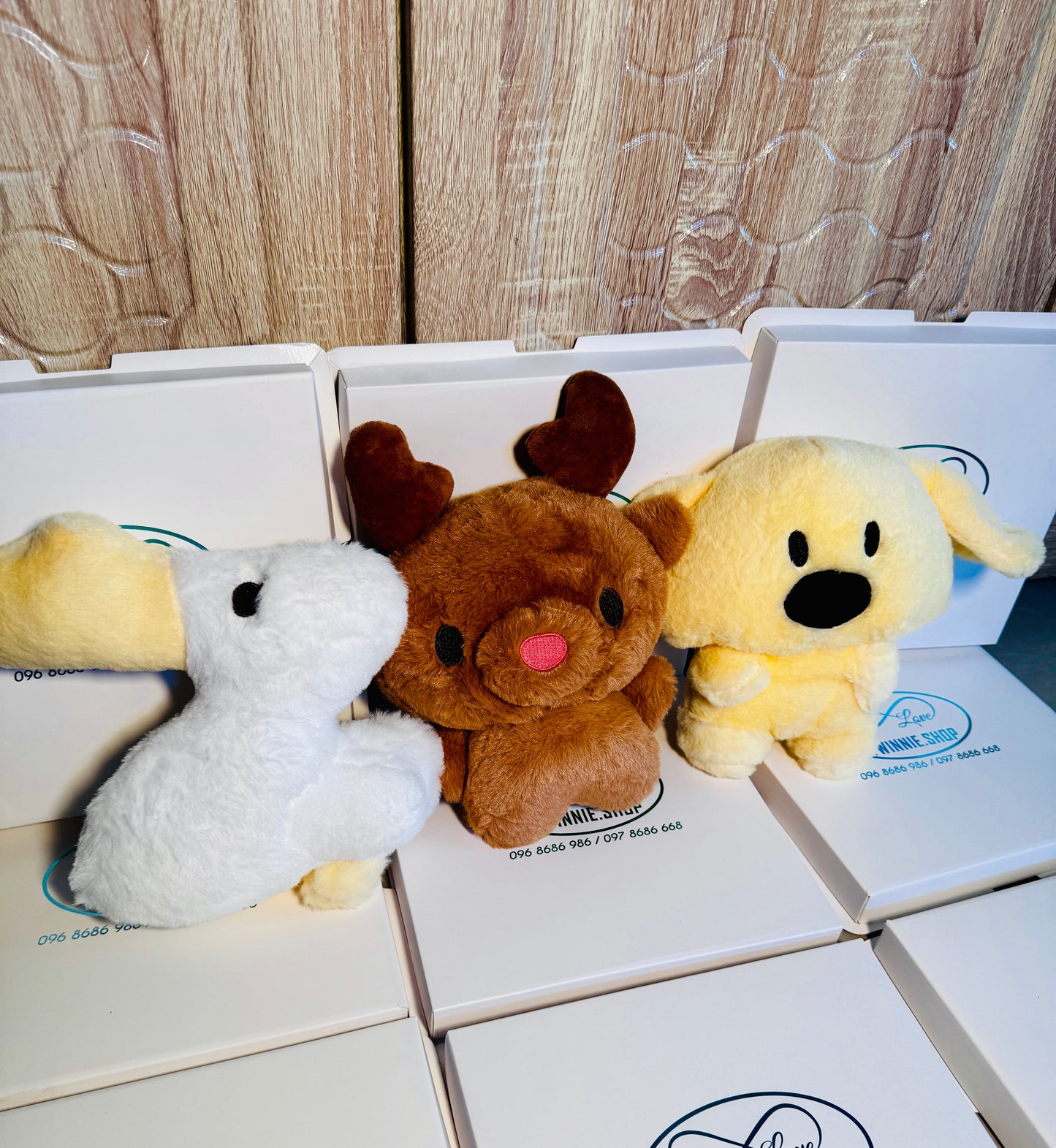 SD | Teddy 5$