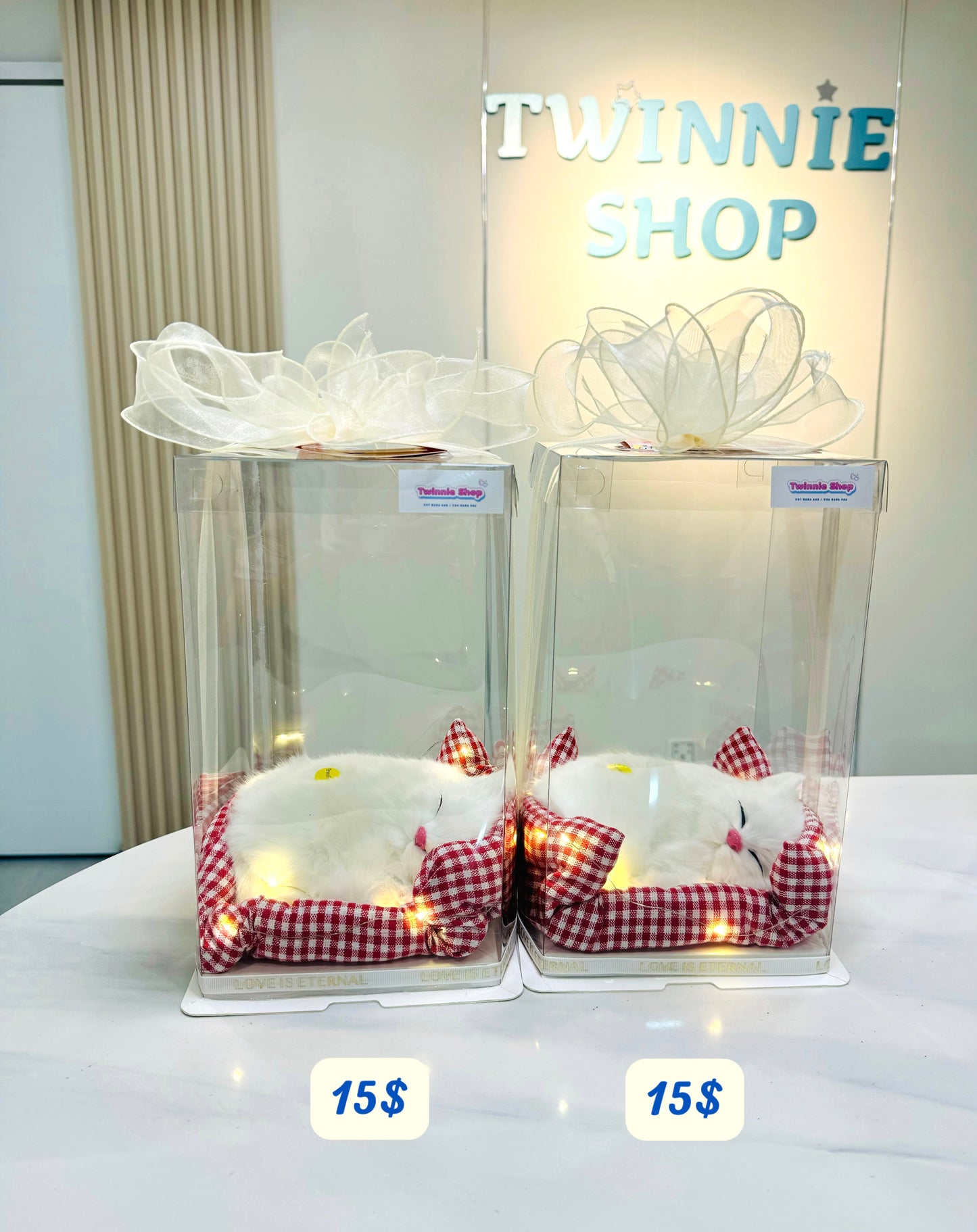 SRB10 | Sleeping cat gift box
