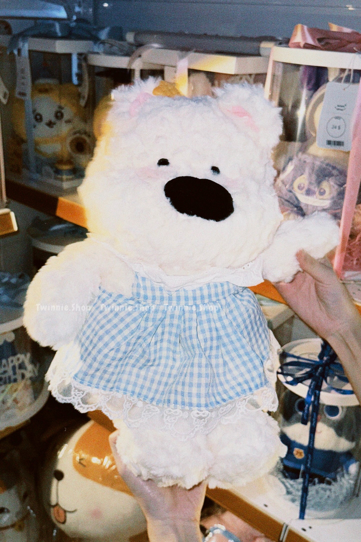 BT | Dress Star puppy