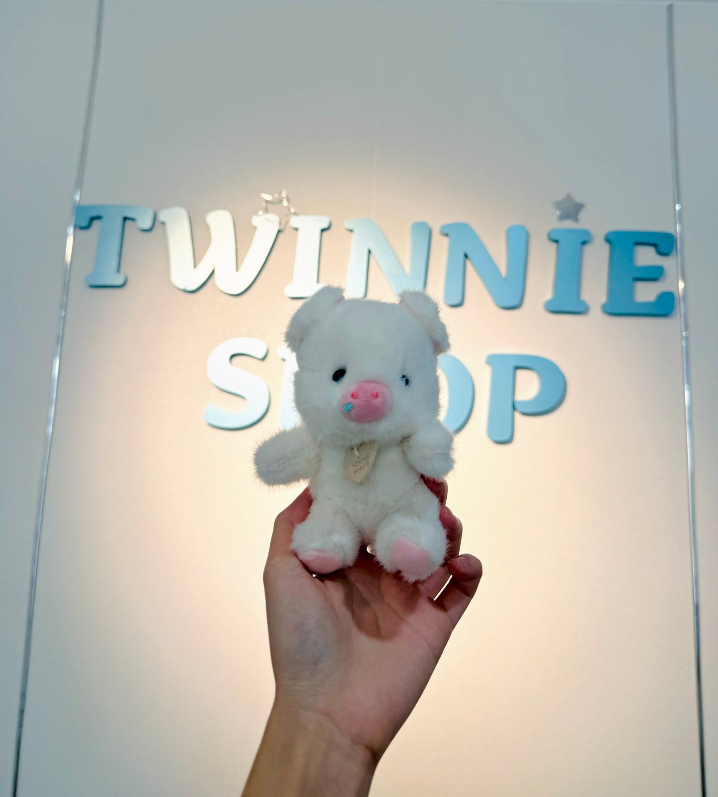 KEY | Piggy keychain