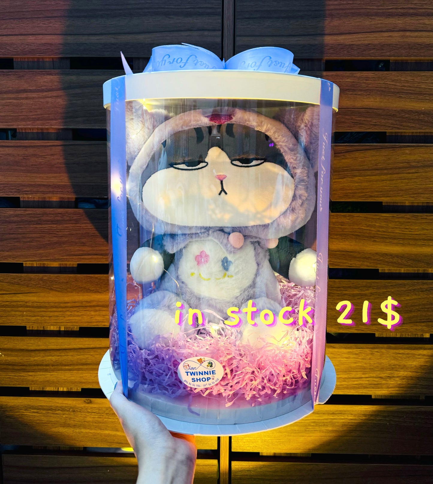 BB | Teddy shirt cat gift set