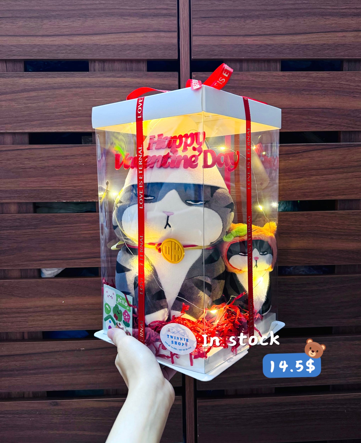 VLT | Cat mix keychain gift set