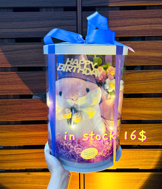 BD16 | Hamster birthday full set