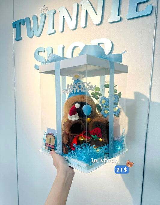 SRBM | Capybara birthday set