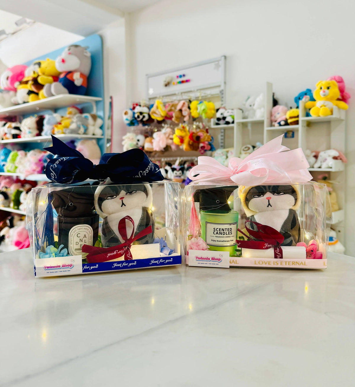 CD | Cat graduate candle set