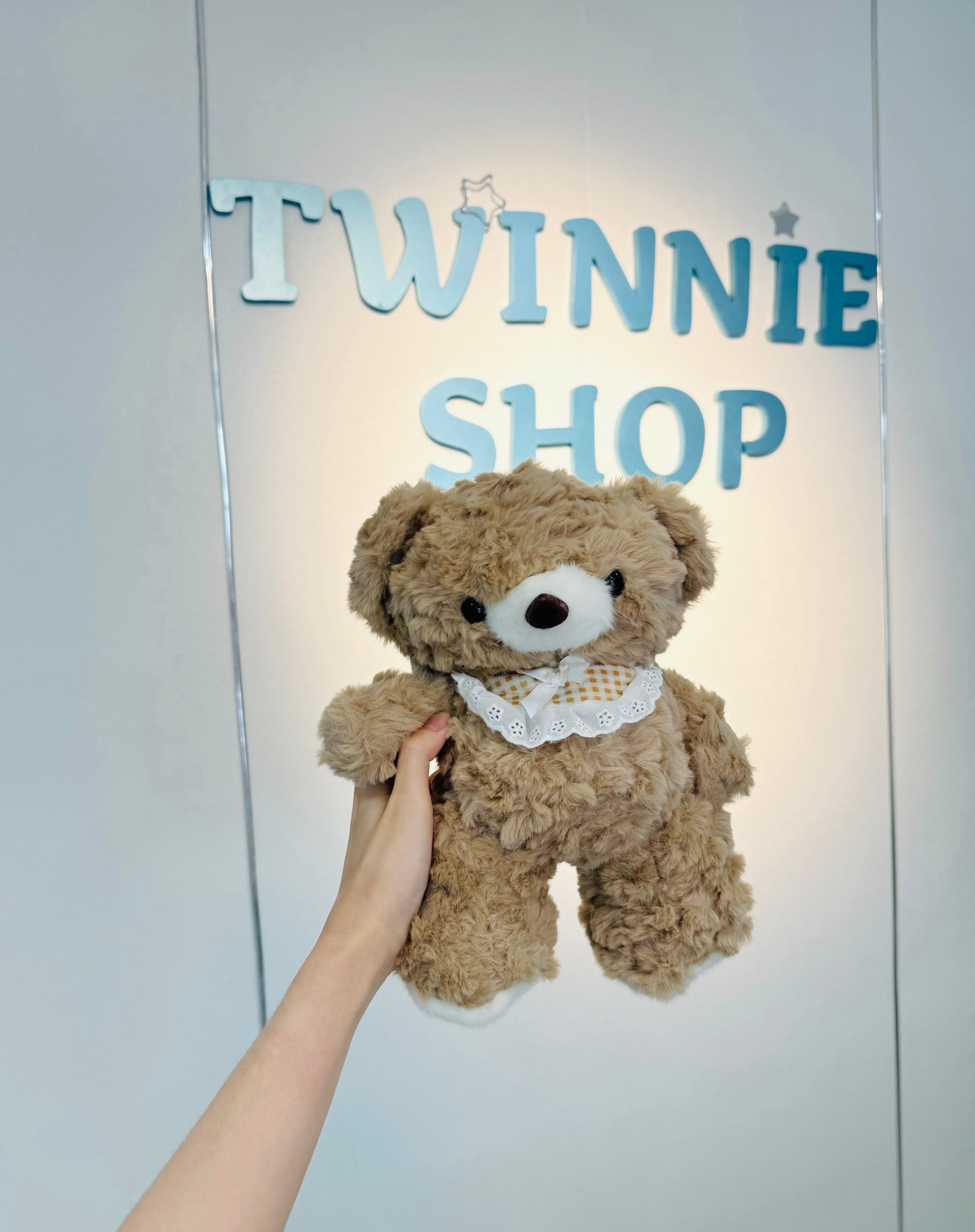 SD | Brown Bear