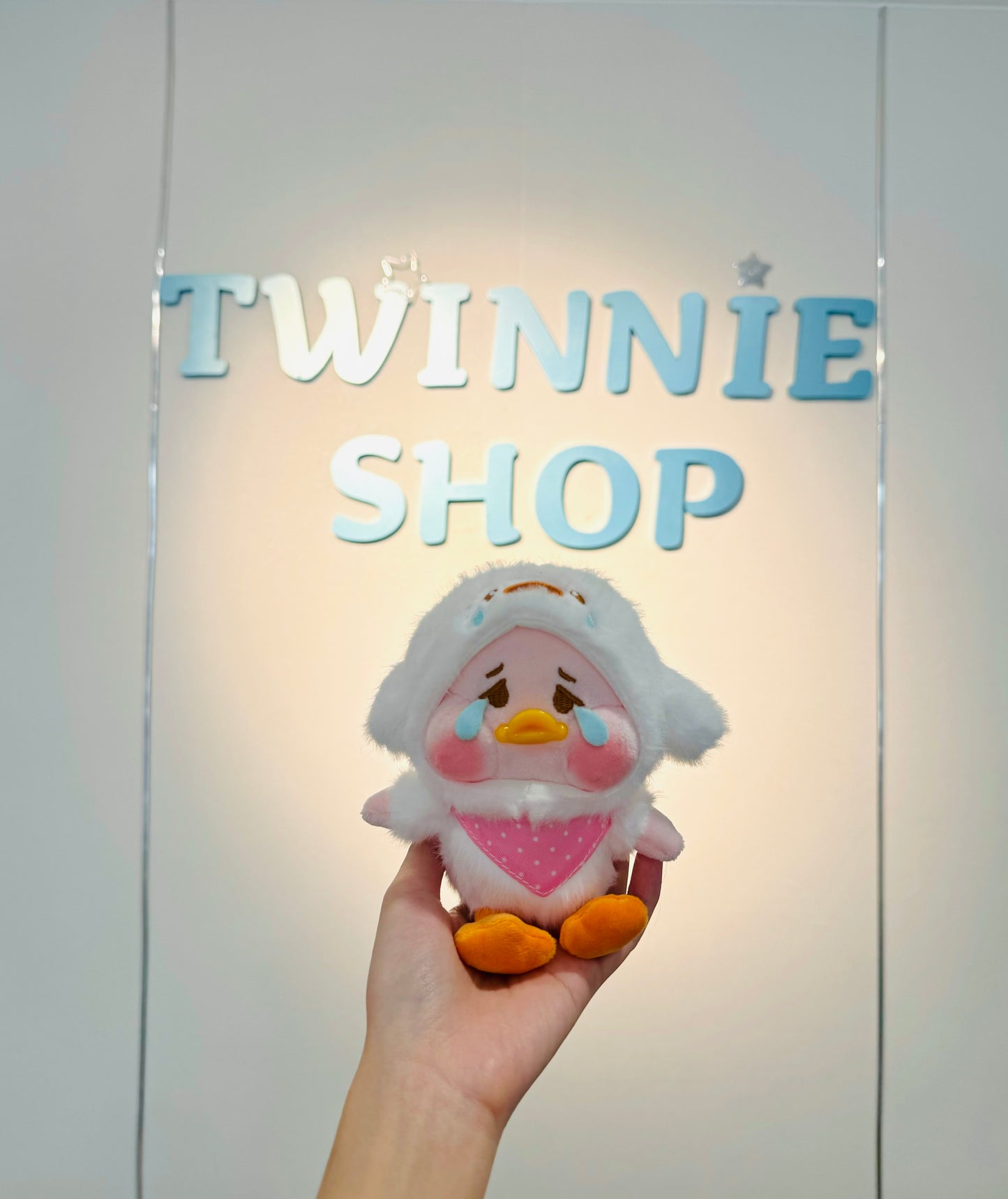 KEY | Duck keychain