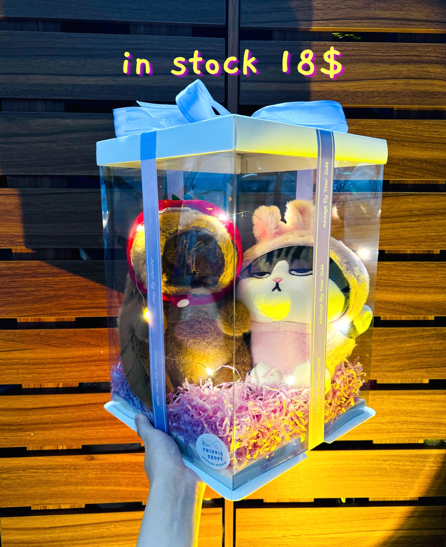 CPB | Capybara couple set
