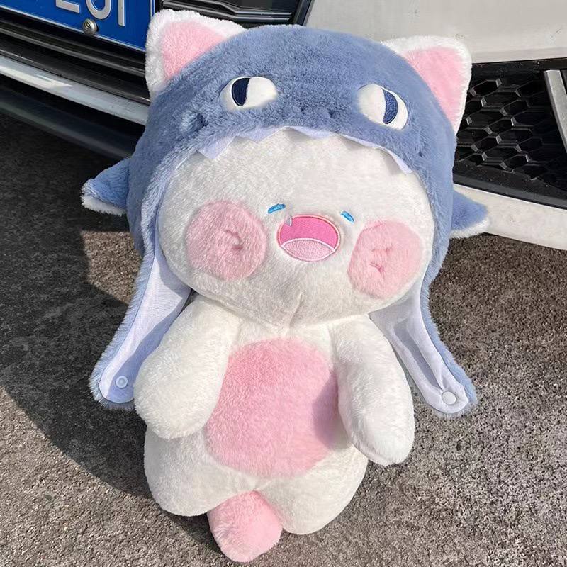 SD | Shark cat