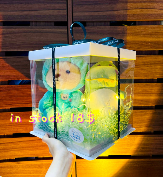 CPB | Mix teddy couple box