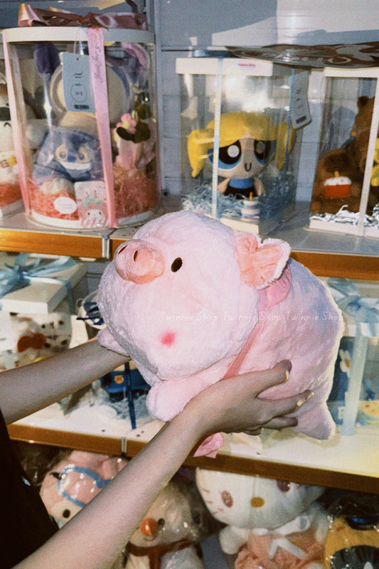 SD | Sleeping ribbon pig