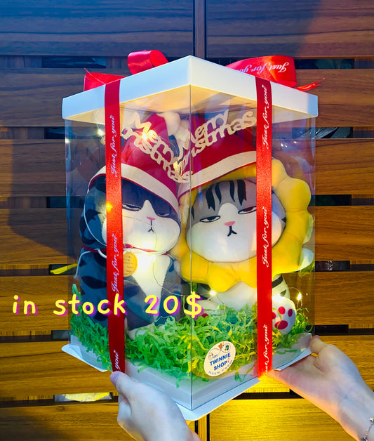 Xmas | couple cat box