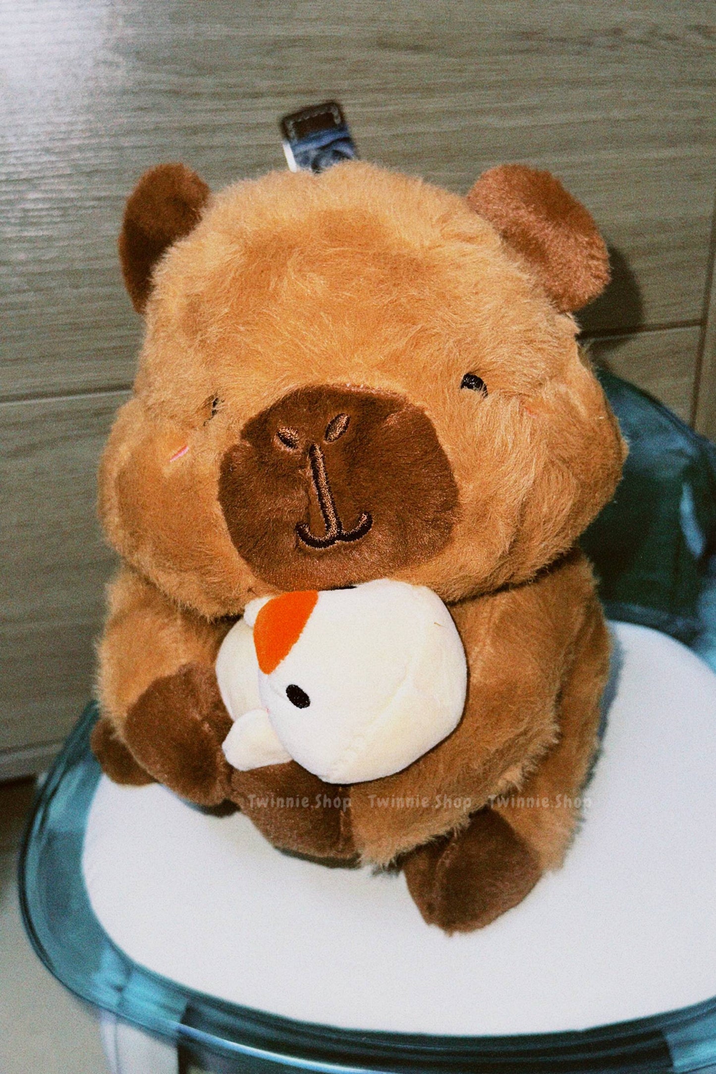 SD | Ducky capybara