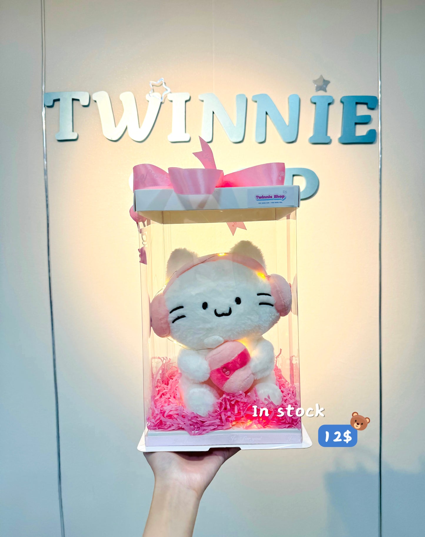 SRB10 | Music Cat gift set