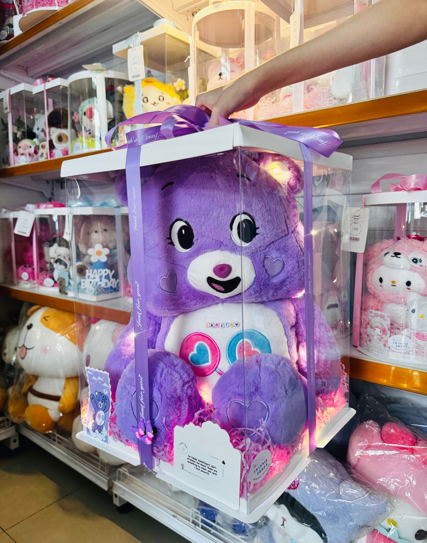 BB | Purple care bear gift set