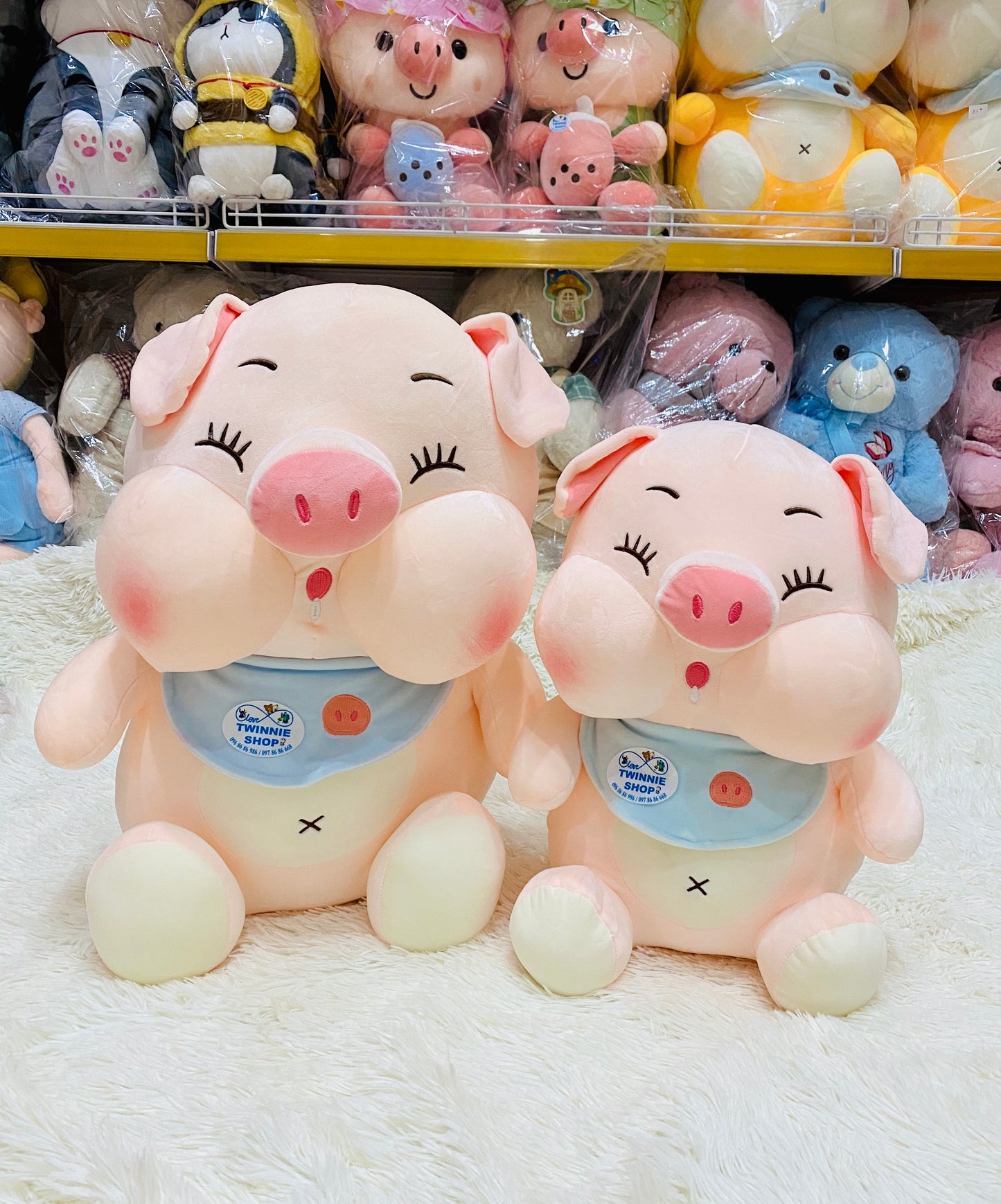 BT | Baby pig
