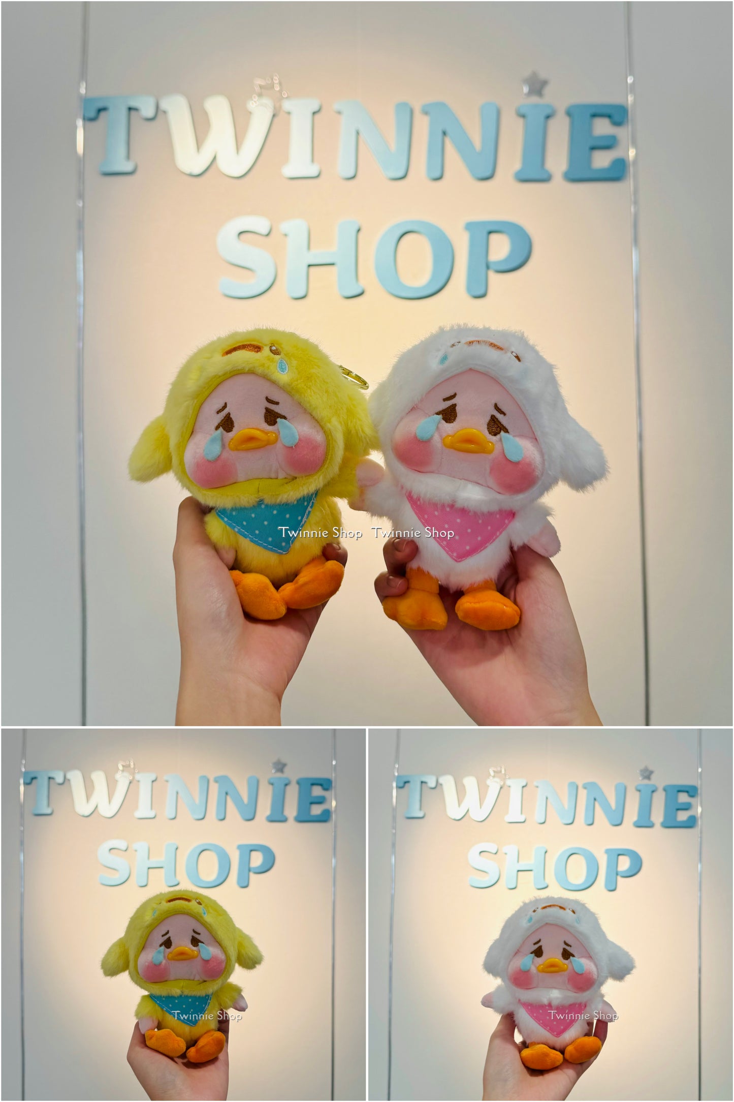 KEY | Duck keychain