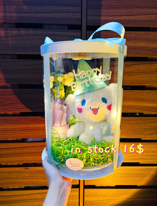 BD16 | Cinamoroll birthday box CM