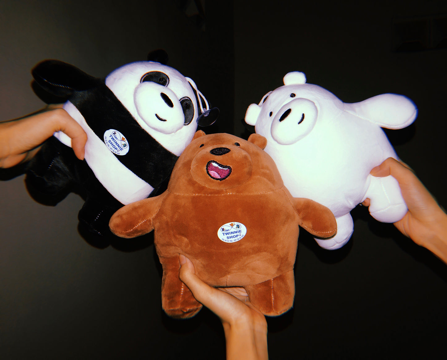 SD | We bare bear