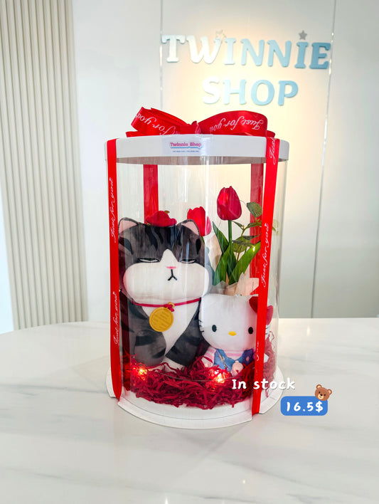 SRBM | Cat mix kitty gift box