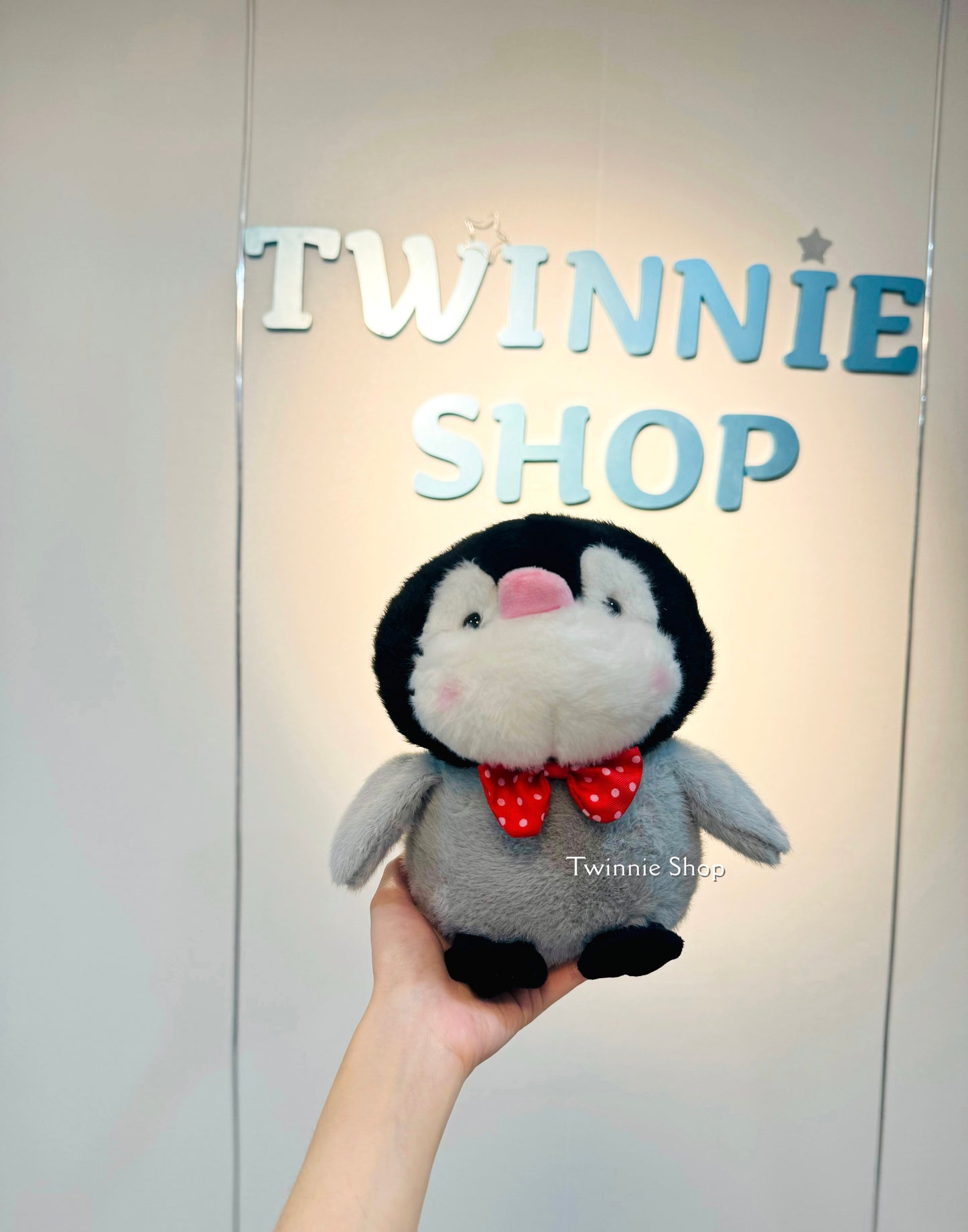 SD | Cute Penguin