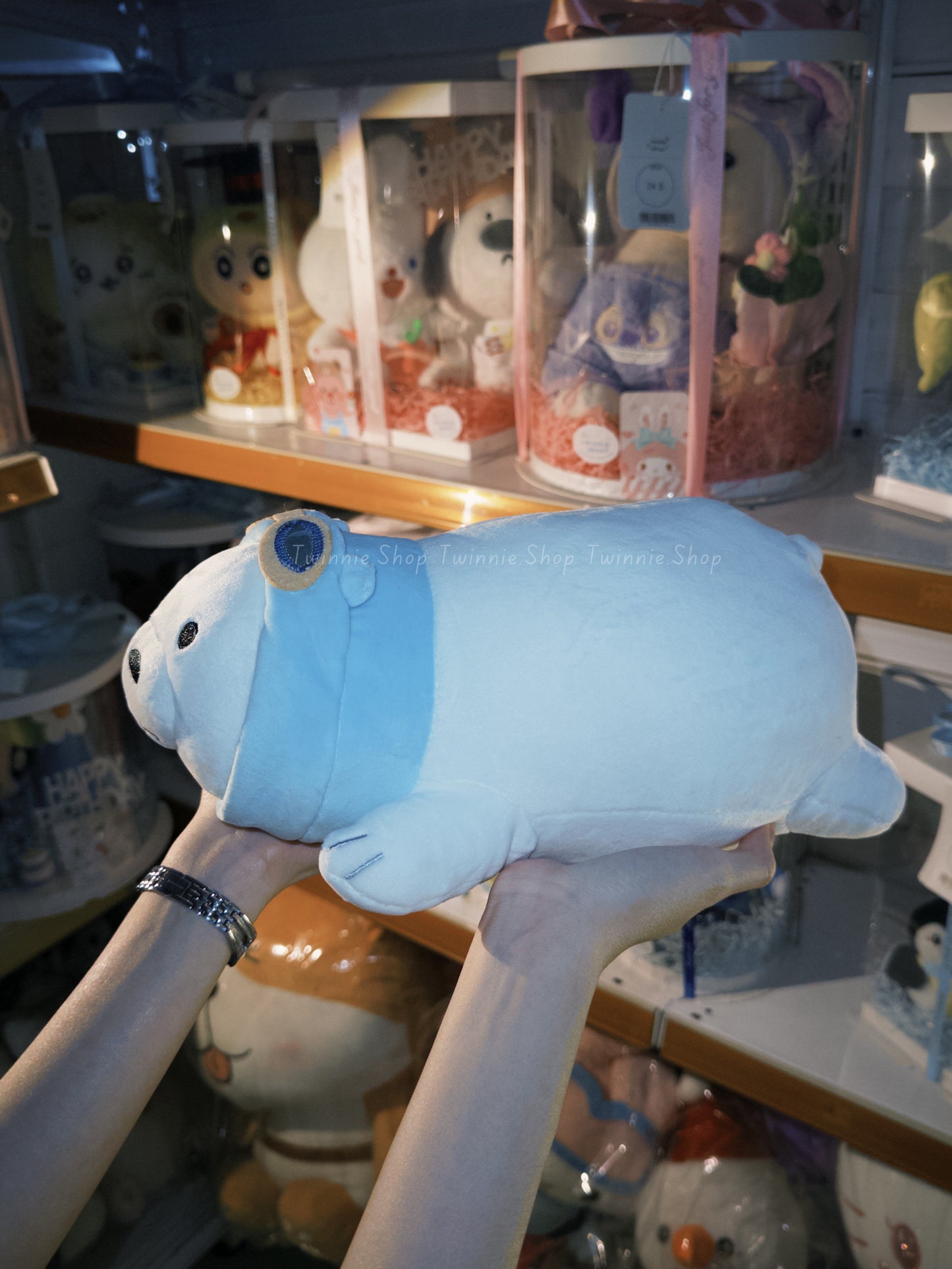 SD | Glasses ice bear