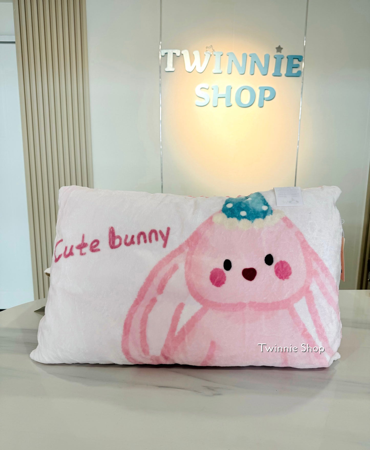PL | Teddy pillow