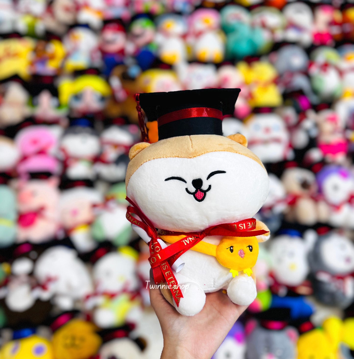 GRASD | Graduate Teddy