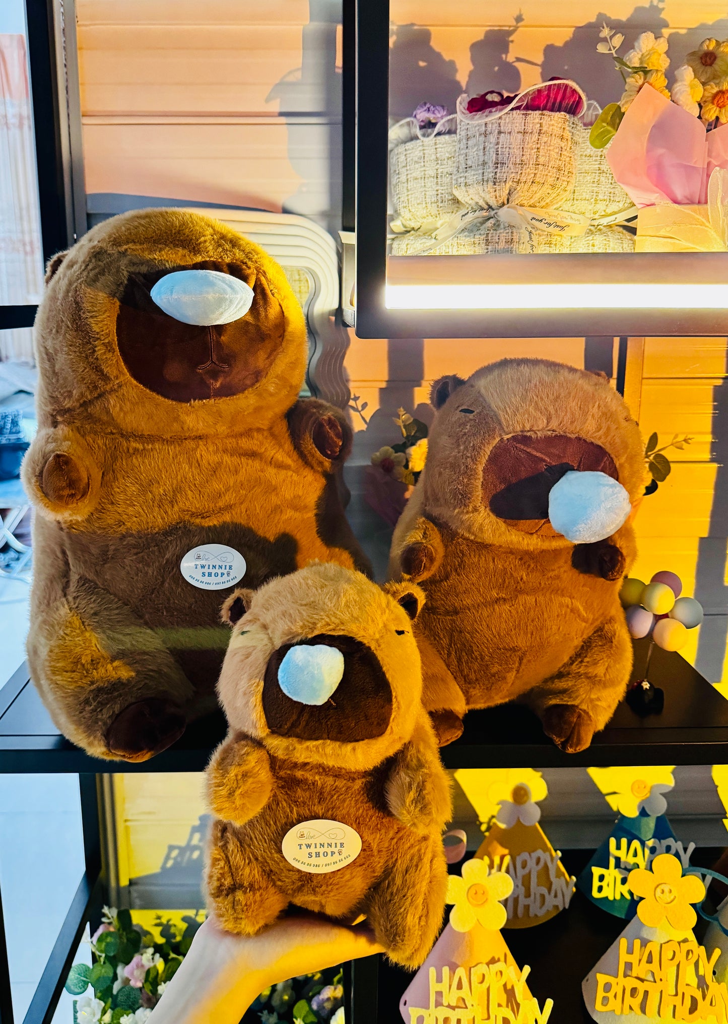 BT | Capybara turtle