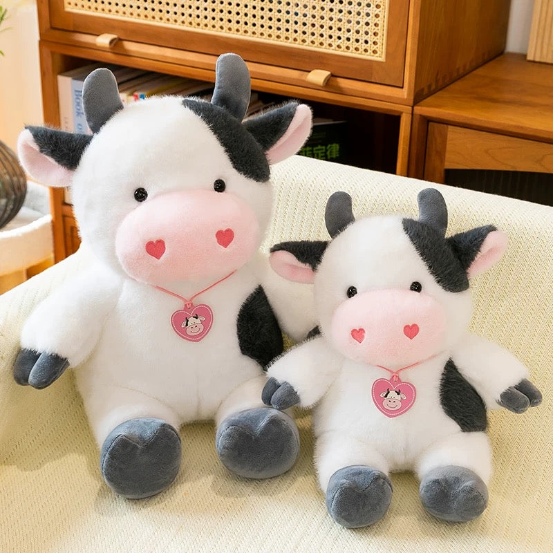 BT | Cow