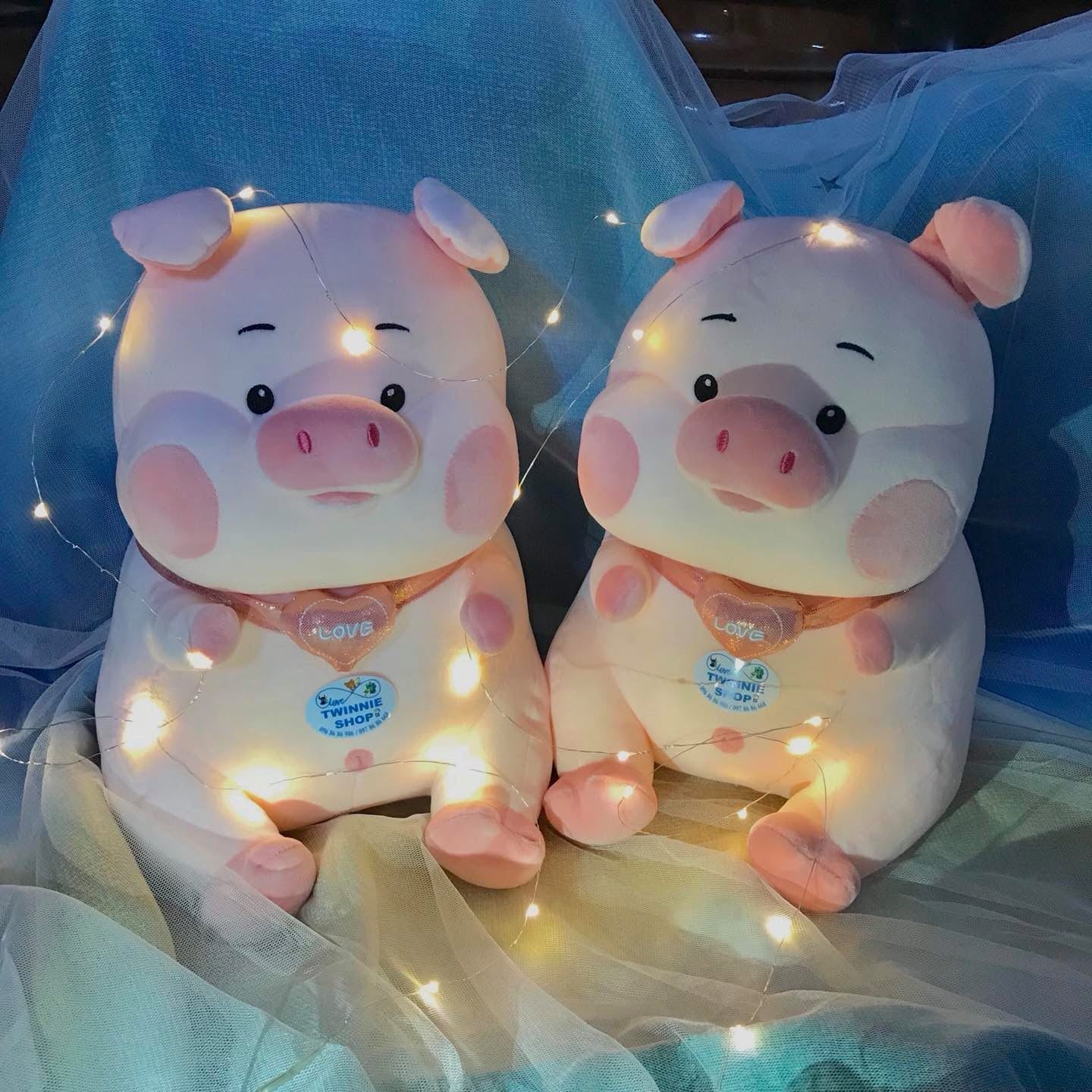 BT | Chubby pig